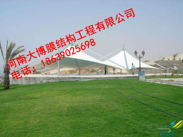 风暴娱乐 b377d