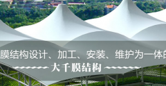风暴娱乐 af633