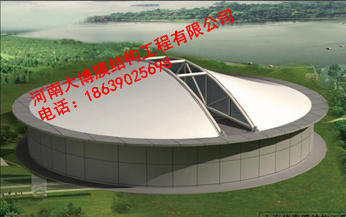 风暴娱乐 ed337