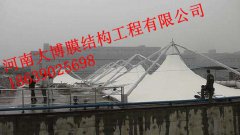 风暴娱乐 ed944