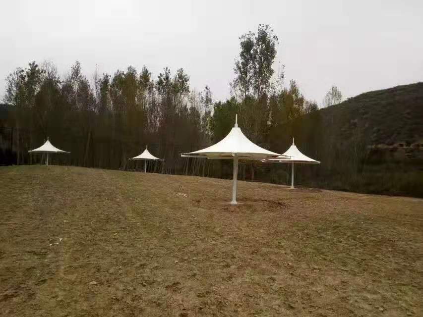 风暴娱乐官方网站图片
