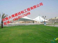 风暴娱乐 d54e5