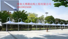 风暴娱乐 ed43a