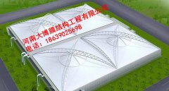 风暴娱乐 8ddd8